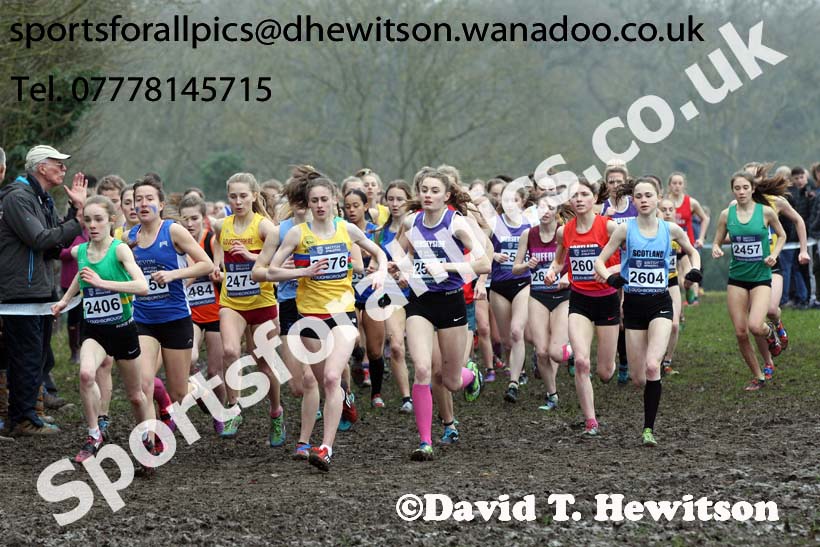 Womens under-20s Inter Counties Cross Country, Prestwold Hall, Loughborough. Photo: David T. Hewitson/Sports for All Pics